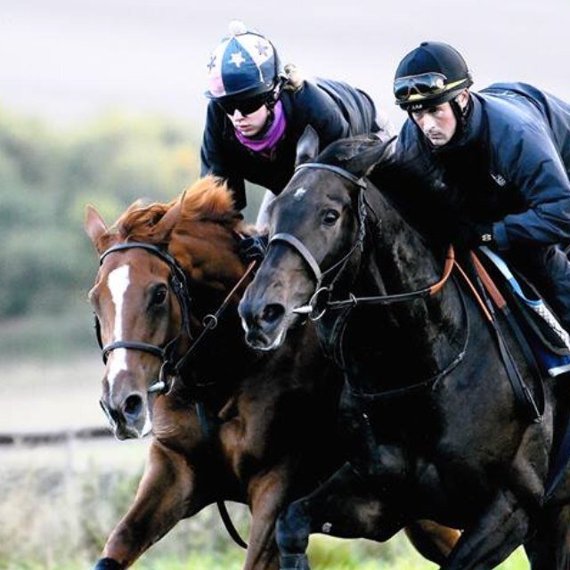 HelenGreen88's profile picture. Former NJ Henderson inmate groom to Long Run and Triolo D'alene. Now the otherside of the world track riding for Danny O'brien at Flemington Racecourse