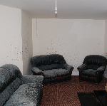 We are a mould remediation service with new tech & a non toxic treatment for mould & fungal problems.