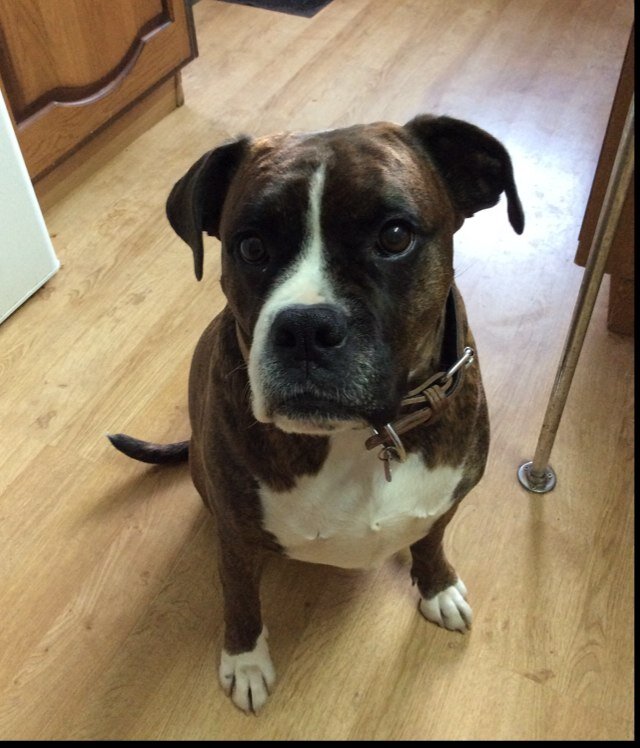 BtopenLee's profile picture. 