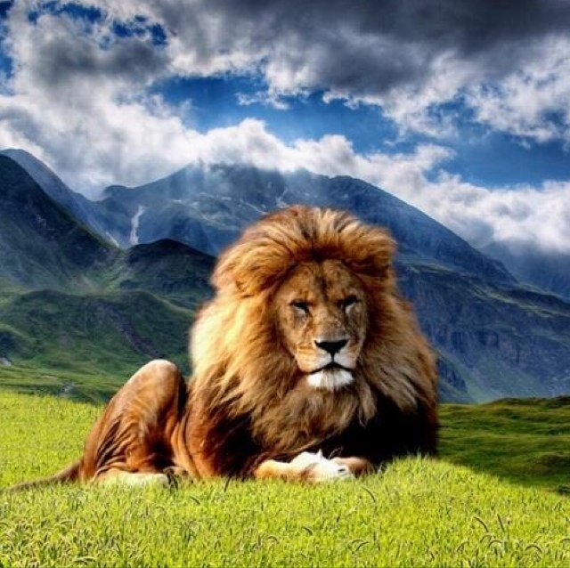 AsapKuzco's profile picture. Same shit, different day