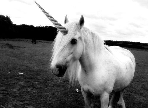 unicornio e paçoca ♥