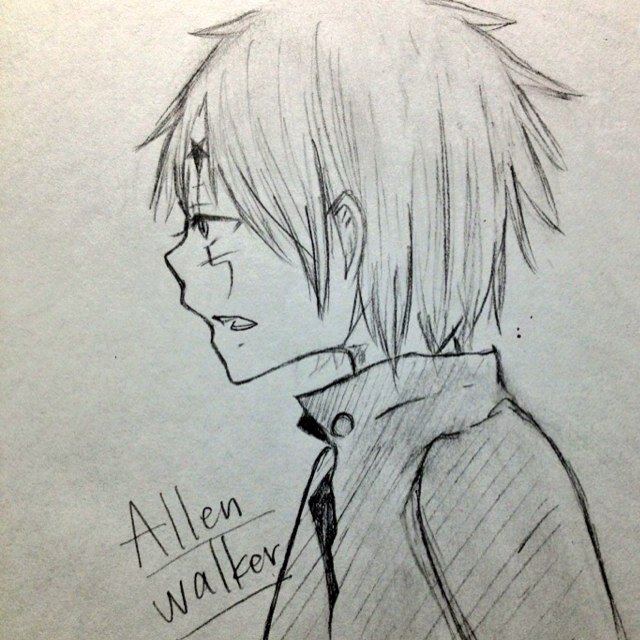 しーこ♬ダラダラなうさんのプロフィール画像