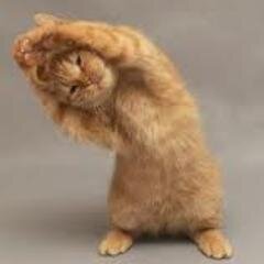 70Kristofer's profile picture. 