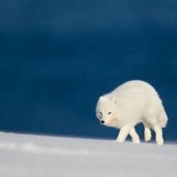 arnaudtaieb1's profile picture. 