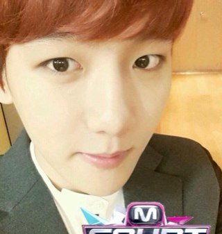 EXOFANS | Free follow