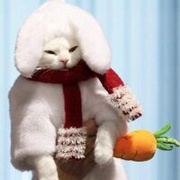 Cécile Chalancon (@cchalancon) 's Twitter Profile Photo