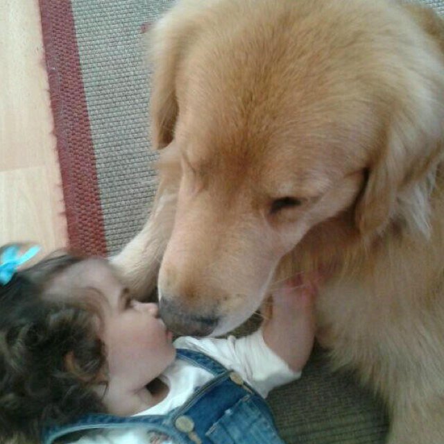 frebor07's profile picture. Soy poseedor de un perfil griego es decir el perfil perfecto con frente vertical naricita recta y afilada
 con puente nasal abultado