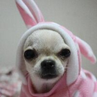 Kang su in (@sssuin) 's Twitter Profile Photo