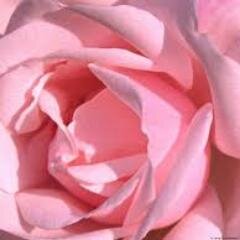 سبحان الله وبحمده سبحان الله العظيم