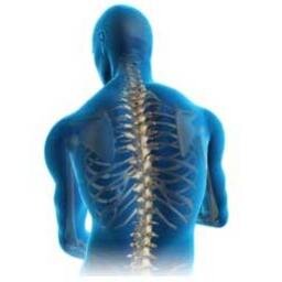 Chartered Physiotherapy Practice & Injury Rehabilitation Suite. Tel: 01937 844199 for flexible appointments