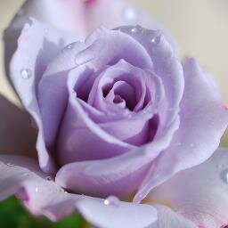 Faith is the cure that heals all troubles. Without faith there is no hope or  love. Faith comes fist.