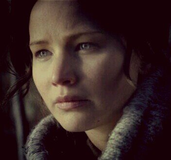 Fire is catching. And if we burn, you burn with us. #THG #SeriousRP #LiterateRP #Peeniss