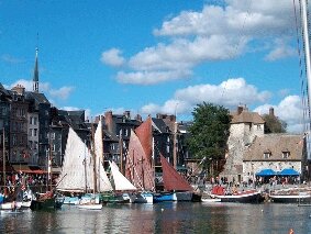 LauraHonfleur's profile picture. Défense animale, intérêt pour la politique,