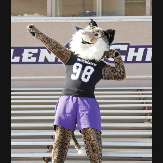 Official Twitter Account of Willie Wildcat, Abilene Christian University