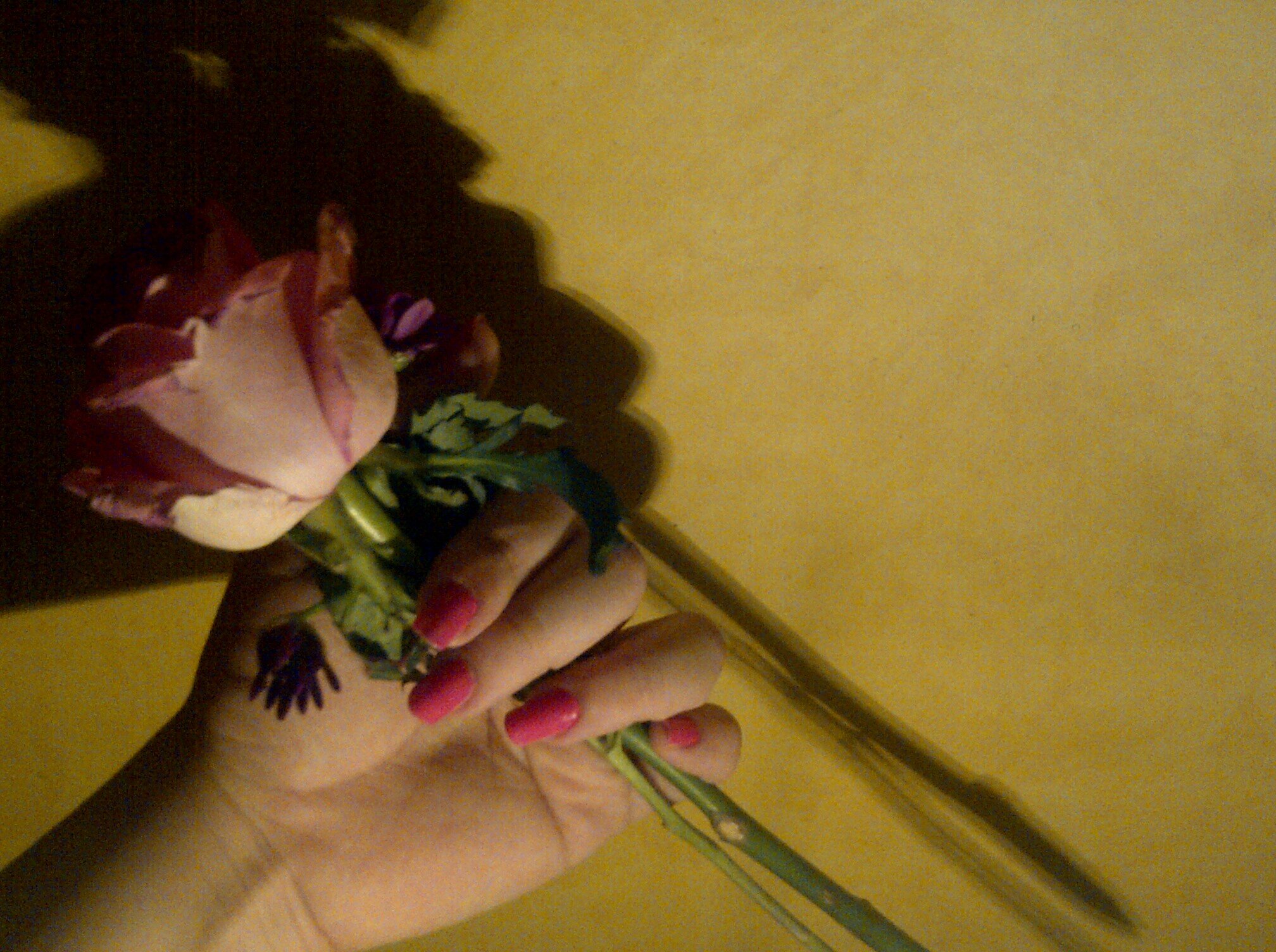 ‏( آغمض عينيكگ وتغآفل عن بعض آلآمور 
      كي تعيش بسسعآدھٓہ )..♡♡
