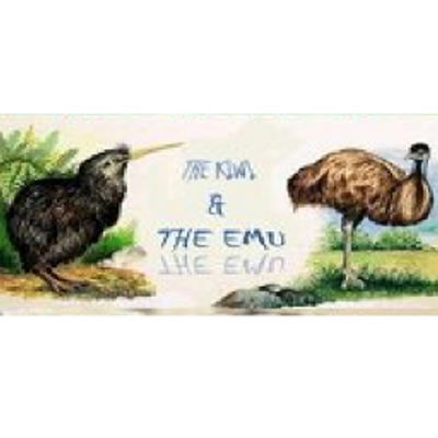 the kiwi and the