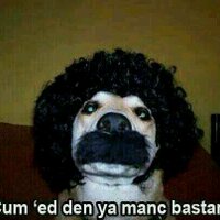 bill (@roadender1) 's Twitter Profile