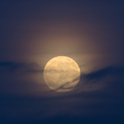 Infinitysymbol8's profile picture. A Place to Find great deals Share great thoughts and Be the best you.