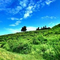 famousnepal (@famousnepal1) 's Twitter Profile
