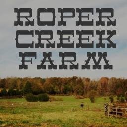 RoperCreekFarm's profile picture. Where horses are our inspiration! 
Phone: 
(864) 607-5446