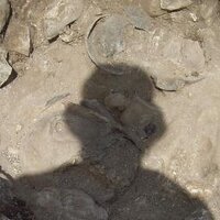 Kel Barrass (Bleating Leftie) (@isthisthingon_) 's Twitter Profile