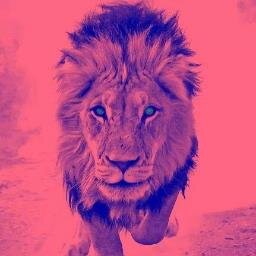 I gave you a free follow, Follow back and GO FoLLoW  @Muchacho_sucio_