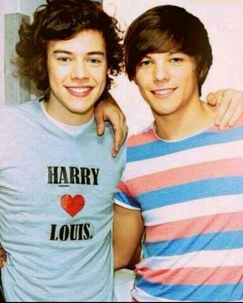 Hi I'm 14 years old and a Larry shipper. I don't hate Eleanor but i think she is a beard. If you don't accept that I am a Larry shipper you can f*ck off.