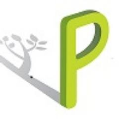 helping business owners convert strategy to action bringing focus and energy to projects
