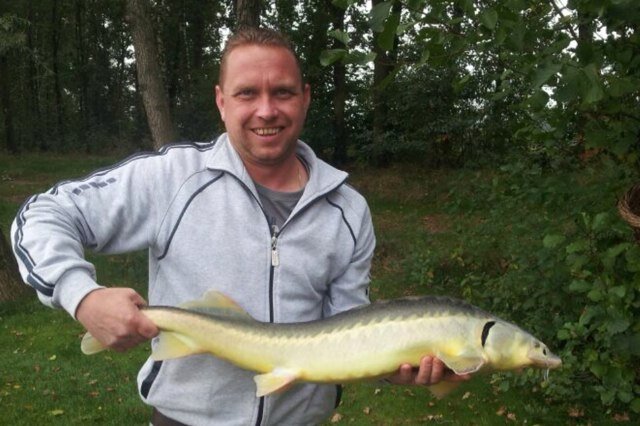 Martin Eggert