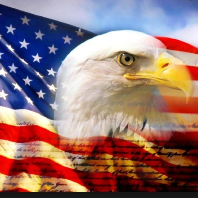 A concerned American who will fight for freedom. A strong believer in the Constitution. Conservative.  #USA