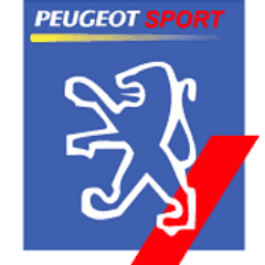 AFicionado da mecanica dos peugeot 106 por suerte ou por desgracia :)