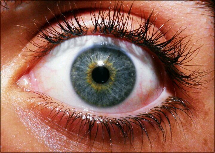 1993Rivero's profile picture. 