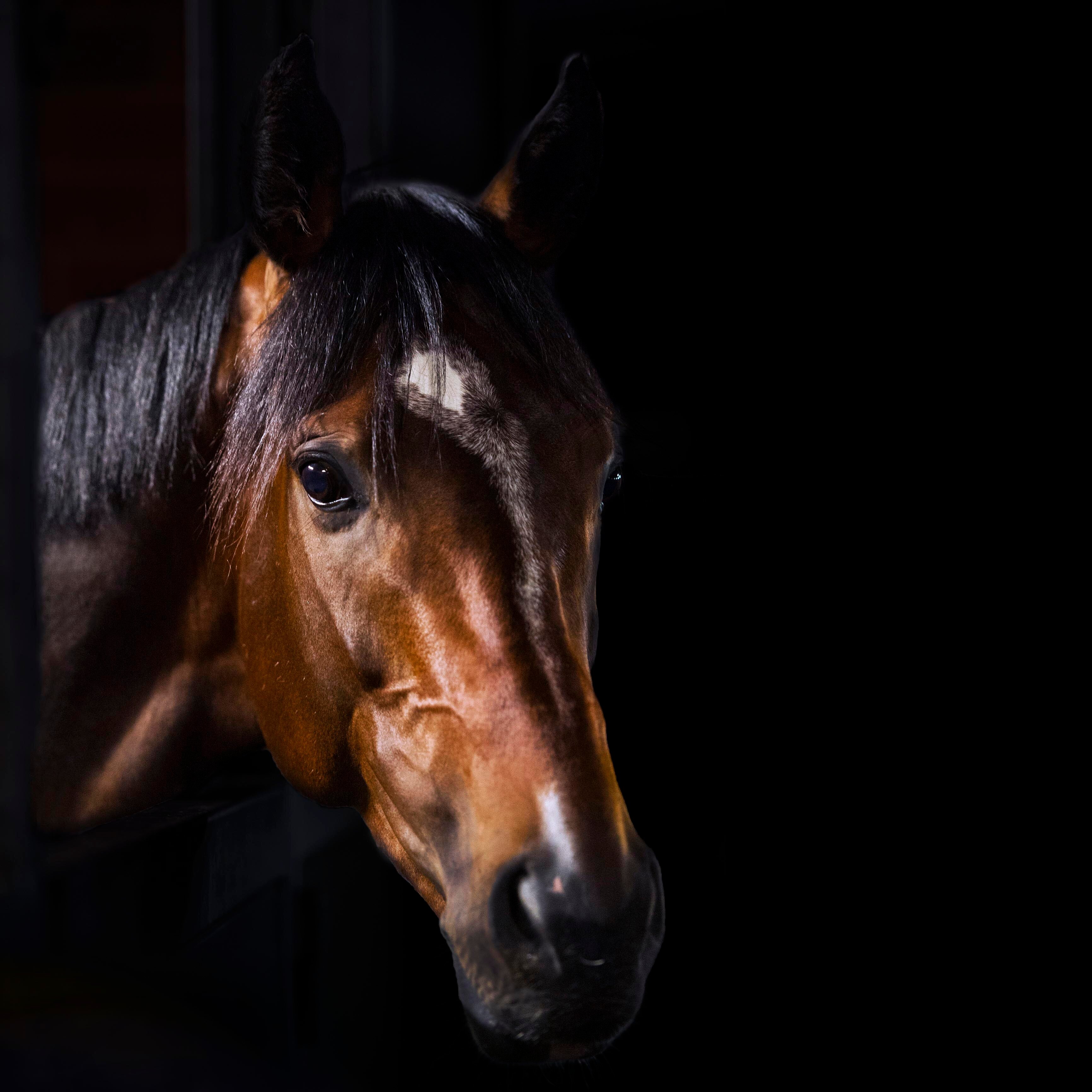 It's A Dundeel Profile