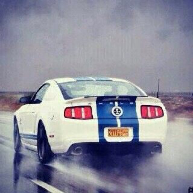 سبحان الله وبحمده. سبحان الله العظيم.