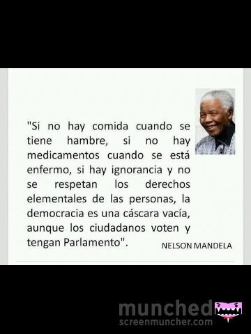 Analista de sistemas