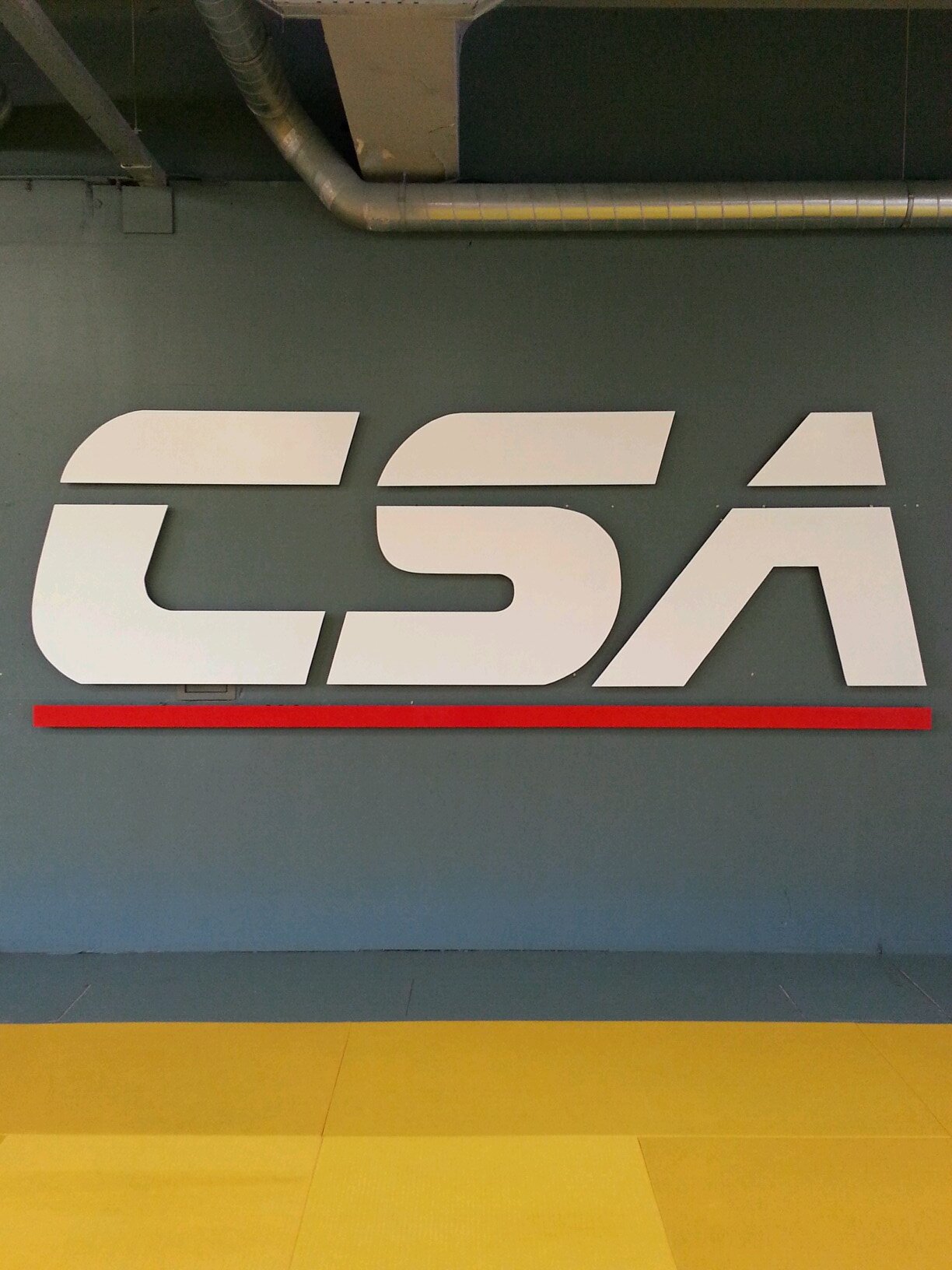 official twitter of Combat Sports Academy Holland