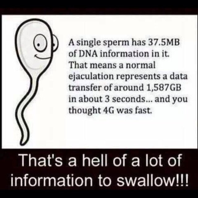 ImperialMoney's profile picture. 