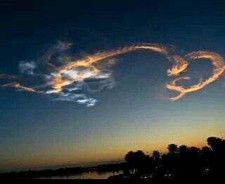 jc123917's profile picture. 