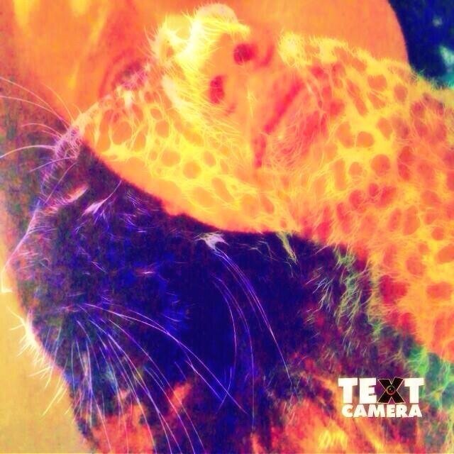 #Crazymofo:3