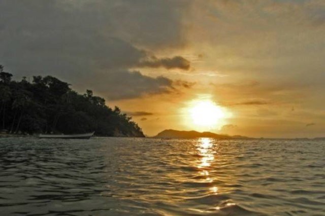 joubzombie's profile picture. 