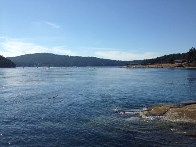 susant8404's profile picture. 