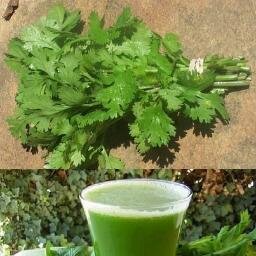 The worlds most natural Pain Relief and Longevity!  https://t.co/IoWN6UxxAN