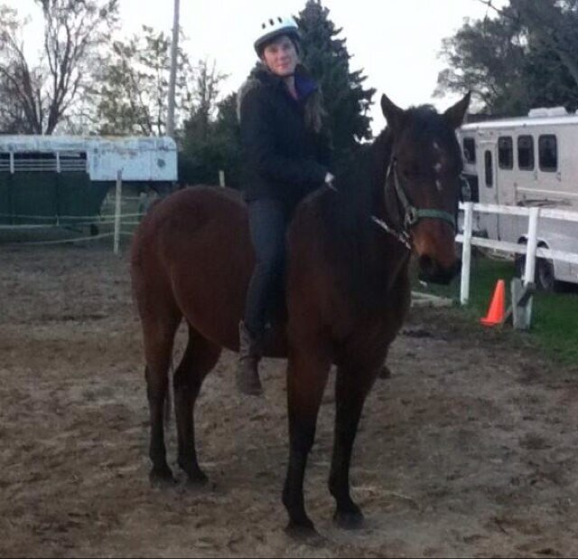 Catharine Schalk.                   .••.Spirit•.•Horses•.•country music•.•tumbl.r••.