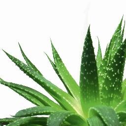 CURE TO HIV-AIDS-CANCER-AND MORE - Check link below