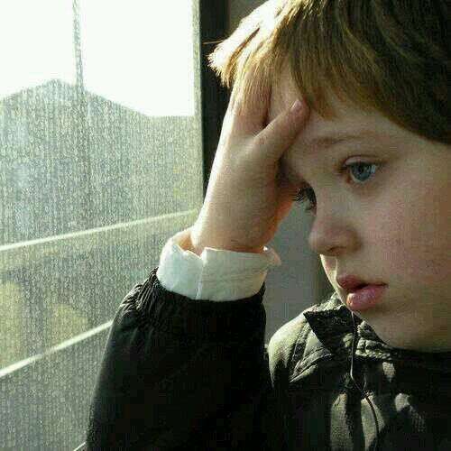 cars2013ksa's profile picture. .