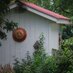 CottageGirl (@cottagegirl21) Twitter profile photo