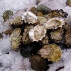 @OkeoverOrganic