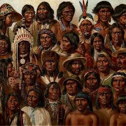 indigenistas Profile Picture