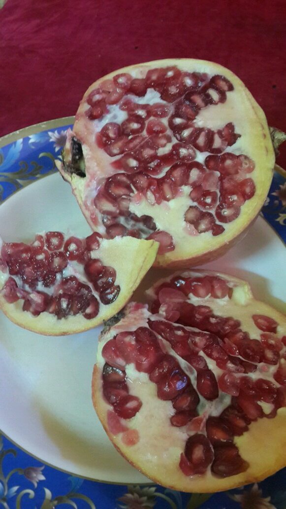‏‏ونعم بلجميع ميررر حنا سﻻطين