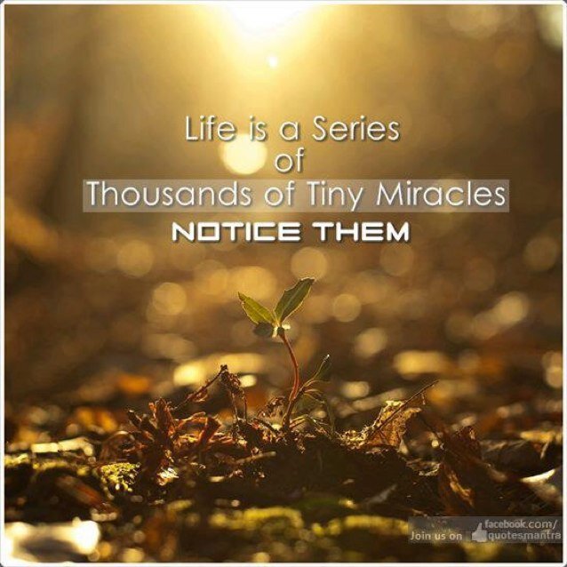 Life is small enough to be wasted on hating or envying. Just Live Love and Forgive